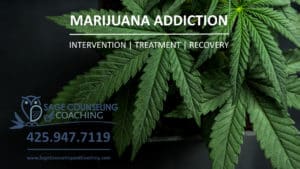 Marijuana and Pot THC Addiction Intervention Treatment Counseling Recovery Coaching Issaquah Washington