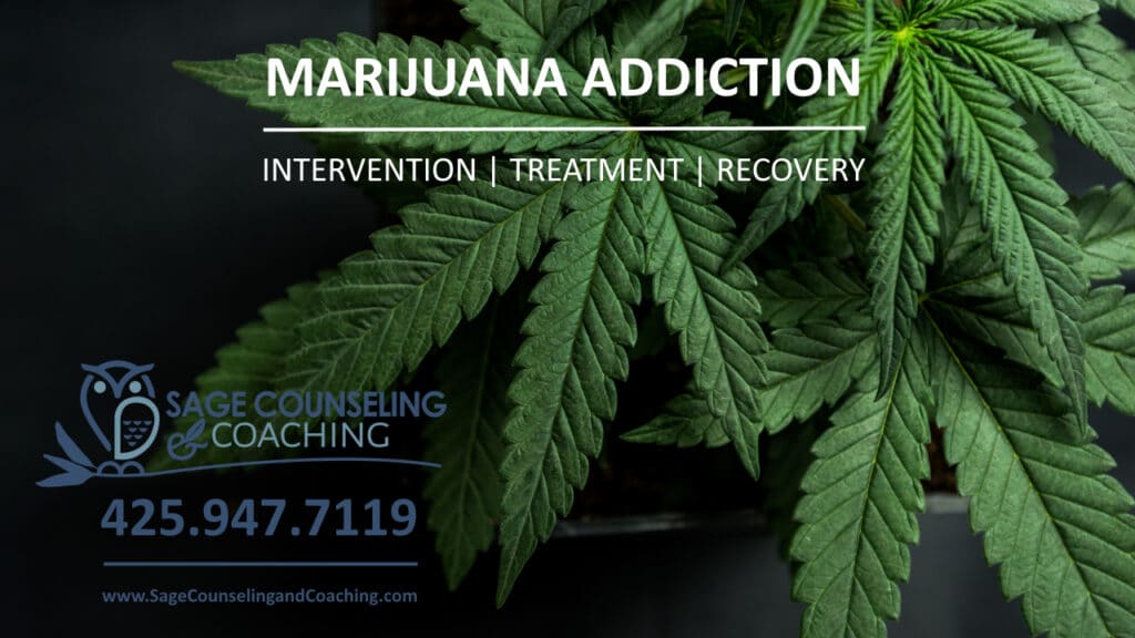 Marijuana and Pot THC Addiction Intervention Treatment Counseling Recovery Coaching Renton Washington